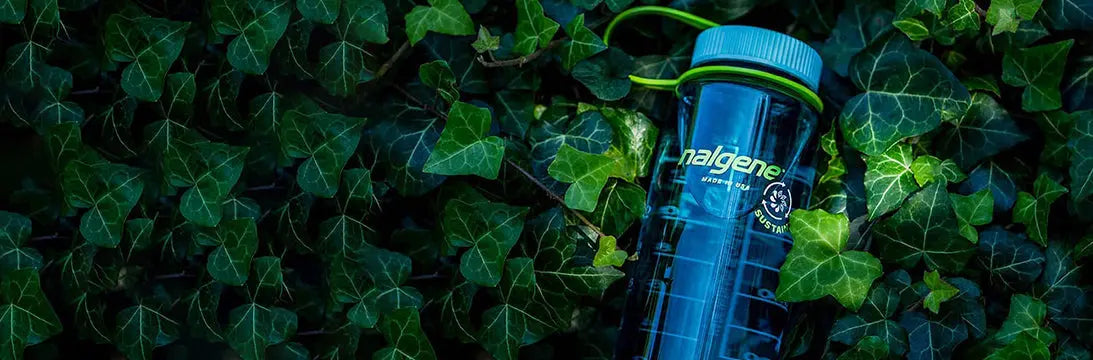 A Nalgene Water Bottles Lying amongst Green leaves 