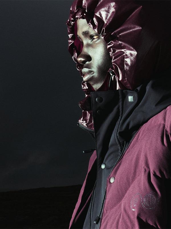 PURPLE MOUNTAIN OBSERVATORY