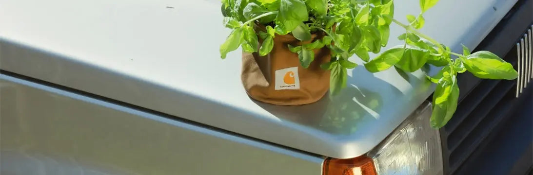 Plant in a Carhartt WIP Bag resting on a Car Bonnet