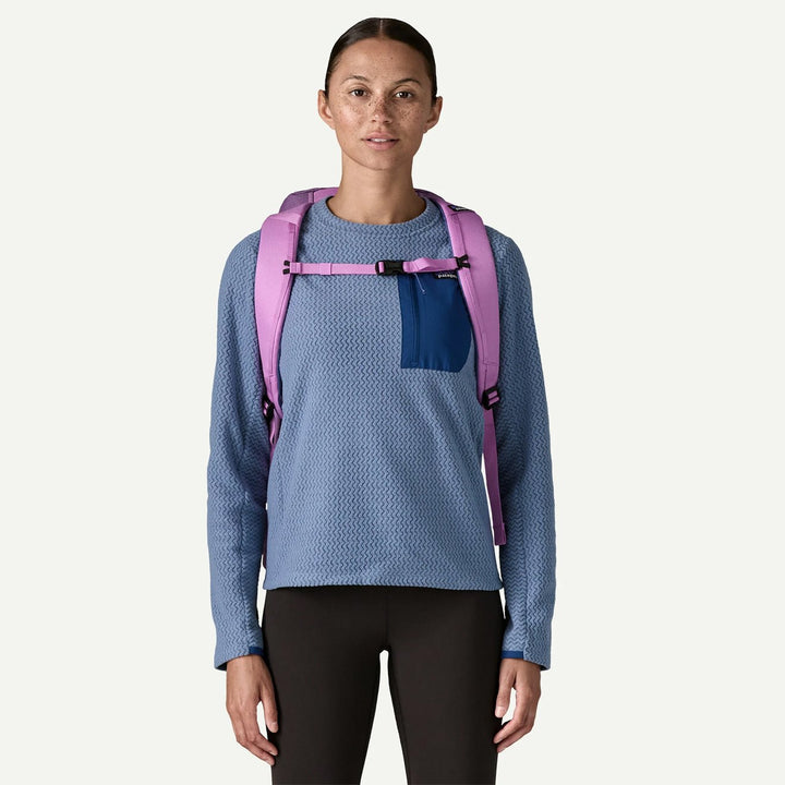 Patagonia Black Hole Pack 25L Brisk Purple | Yards Store display picture 2